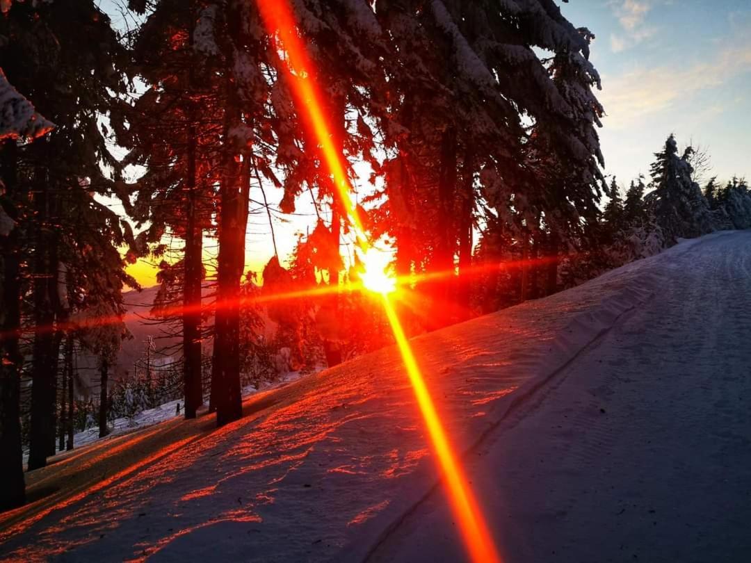 Penzion Palma Frýdlant nad Ostravicí Dış mekan fotoğraf